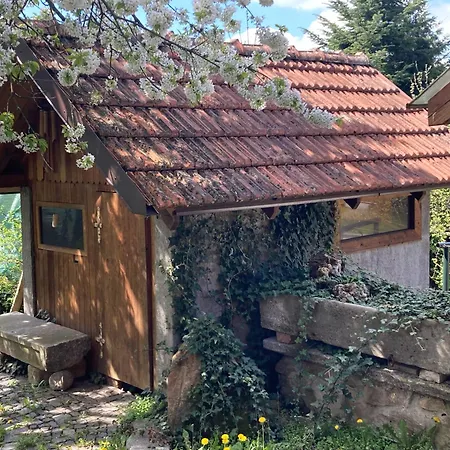 Nyaraló Rekreacni Dum Pod Tresni Střílky